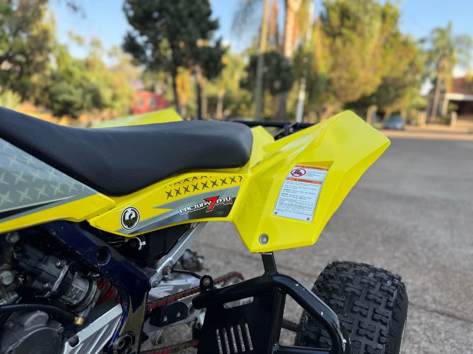 2006 EQUIPADA SUZUKI LTR 450 RECIEN llegada 4 llantas nuevas - Imagen 14