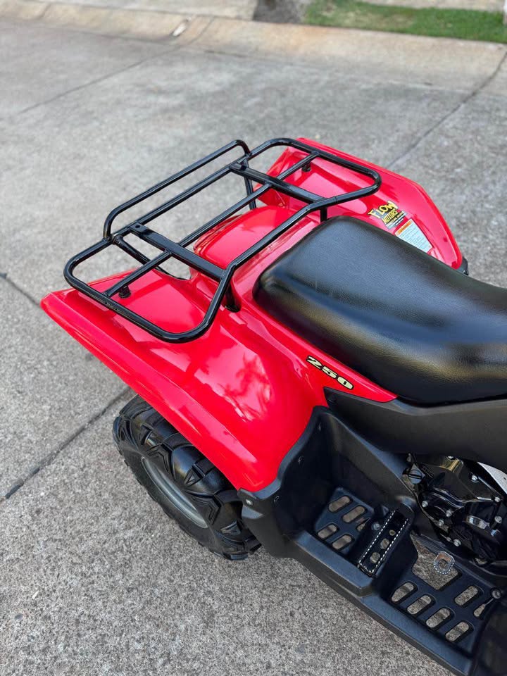 2018 SEMINUEVA SUZUKI OZARK 250 MEX factura original para exigentes - Imagen 6